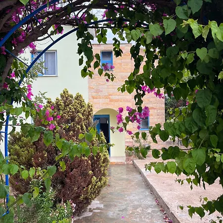 Tatil Evi Queen Evridiki & Panorama Peyia